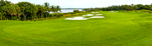Fairway Signs