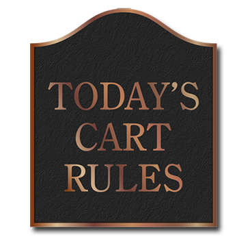 Cast Aluminum & Bronze Todays Cart Rules Sign